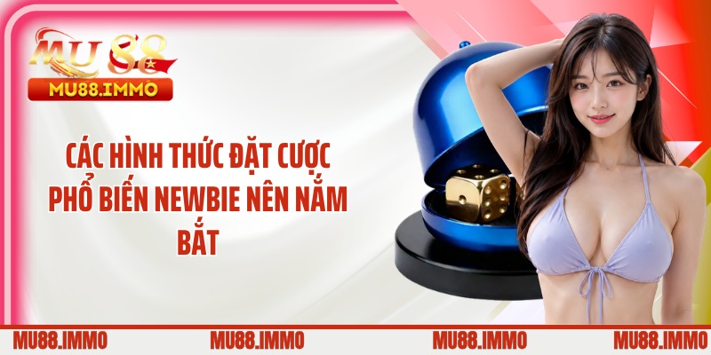 Các hình thức đặt cược phổ biến newbie nên nắm bắt
