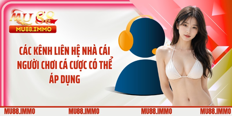 Các kênh liên hệ nhà cái người chơi cá cược có thể áp dụng