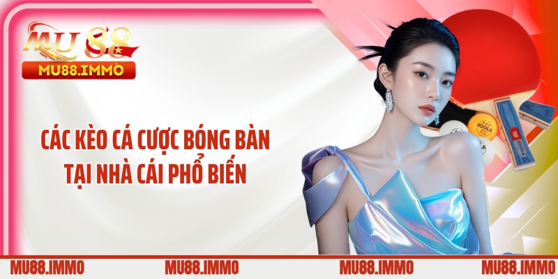 Các kèo cá cược bóng bàn tại nhà cái phổ biến