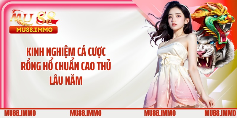 Kinh nghiệm cá cược rồng hổ chuẩn cao thủ lâu năm