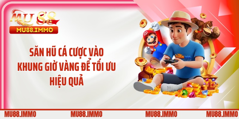 Săn hũ cá cược vào khung giờ vàng để tối ưu hiệu quả