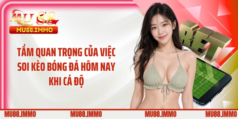 Tầm quan trọng của việc soi kèo bóng đá hôm nay khi cá độ